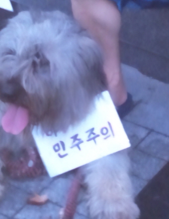 크기변환_IMG_20130803_193500.jpg